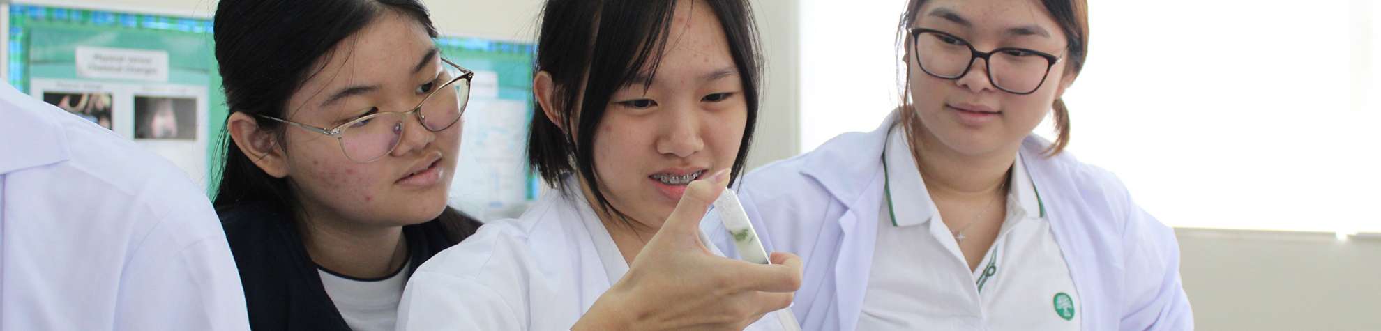 High School (Grades 10–12)